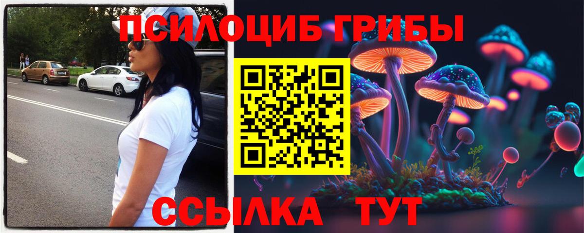 Псилоцибиновые грибы Magic Shrooms  Вход с VPN  сколько стоит  Мегион 